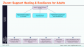 Zoom MAP -- Support Healing & Resilience for Adults.PNG